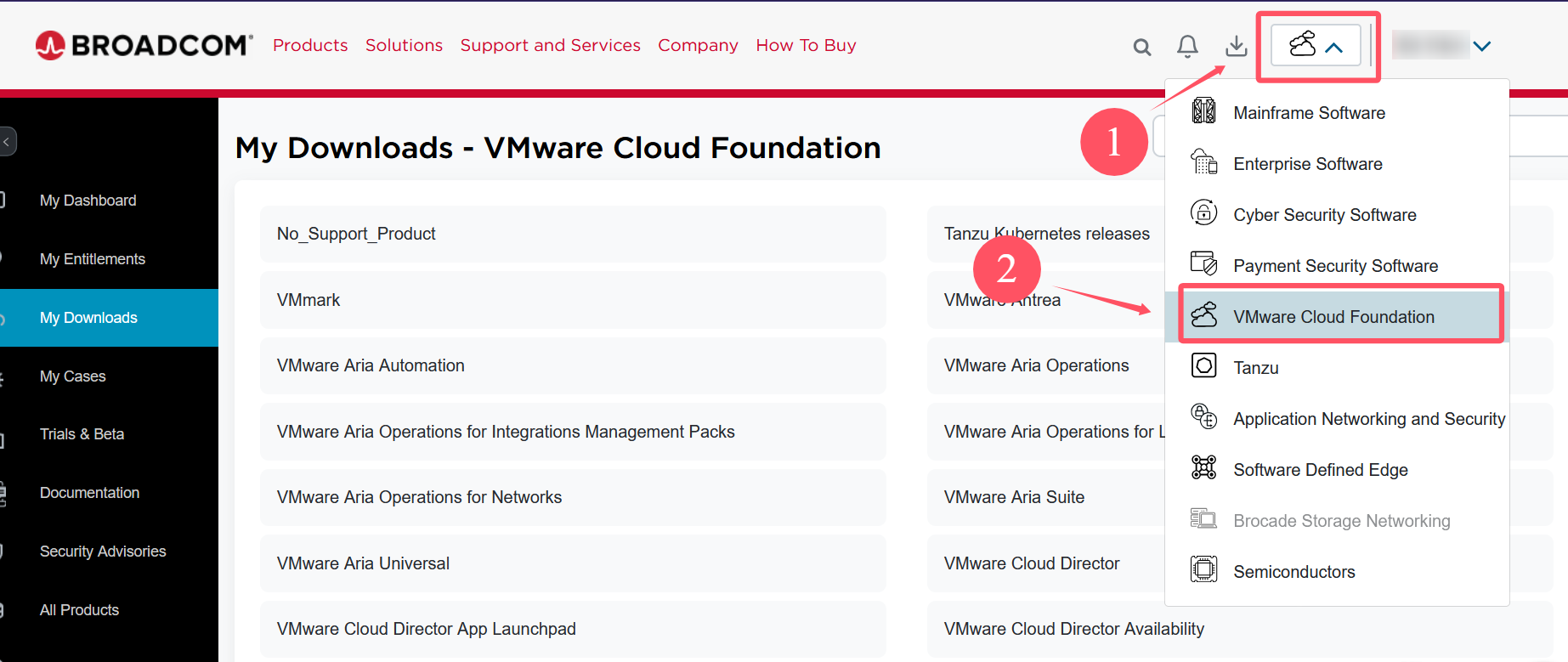 切换到 VMware Cloud Foundation